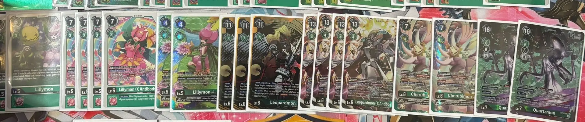 Article about Regionals Europe 2024-07-07 EX6 Leopardmon 2nd